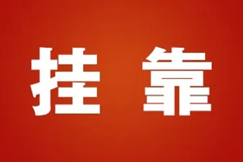 挂靠人以被挂靠人名义投保雇主责任险，发生事故后向挂靠人代位不能